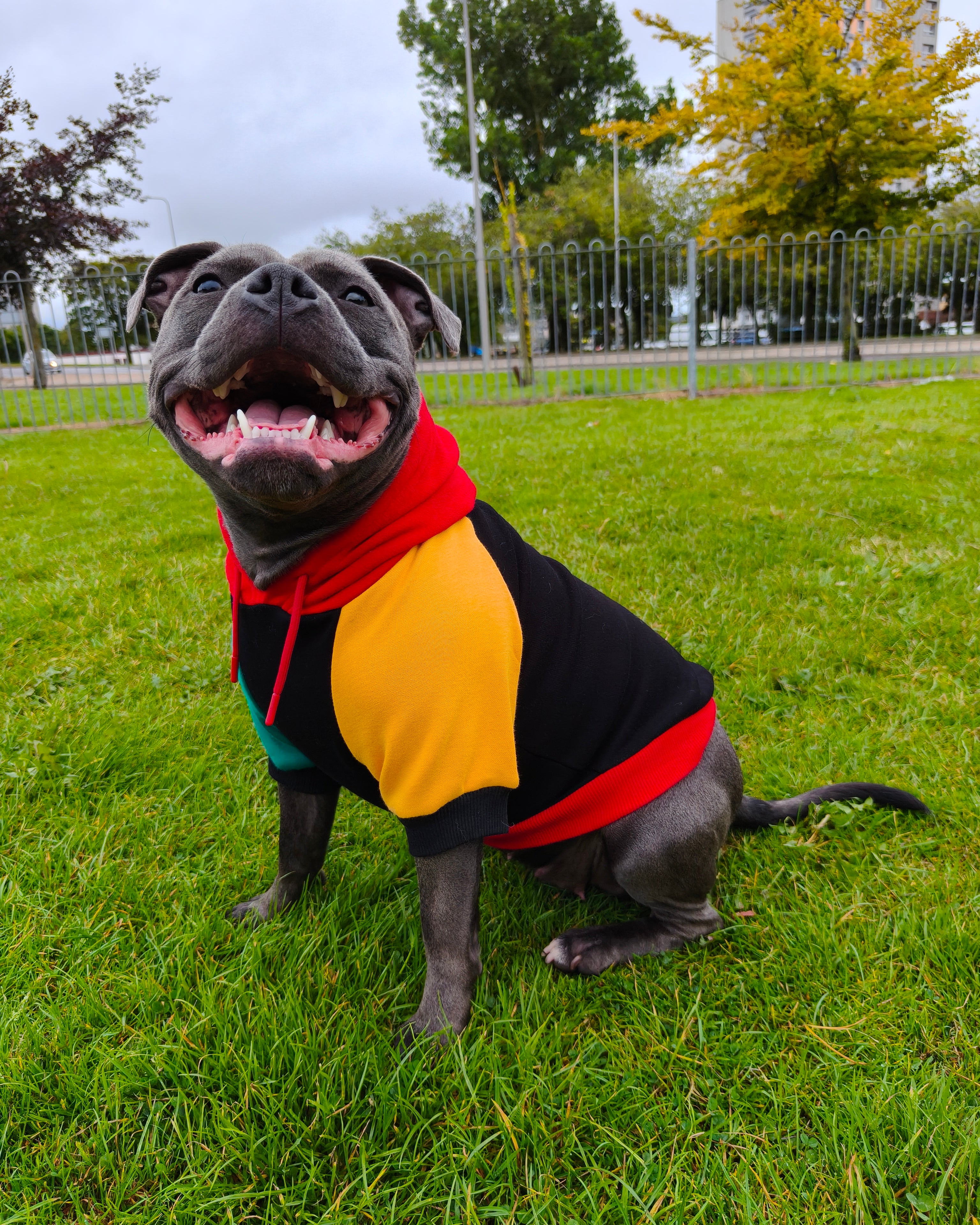 Dog Hoodies & Fleece Clothing UK | MODAPAWS