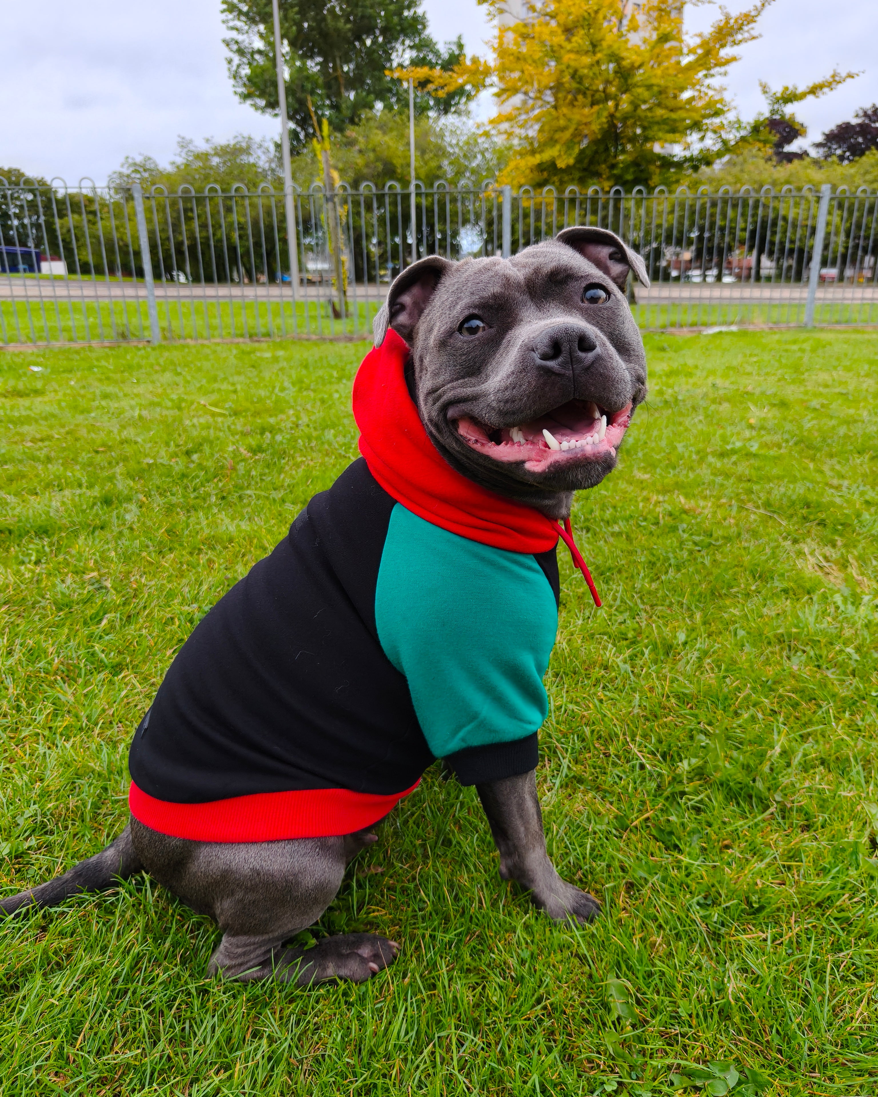 Dog Hoodies & Fleece Clothing UK | MODAPAWS