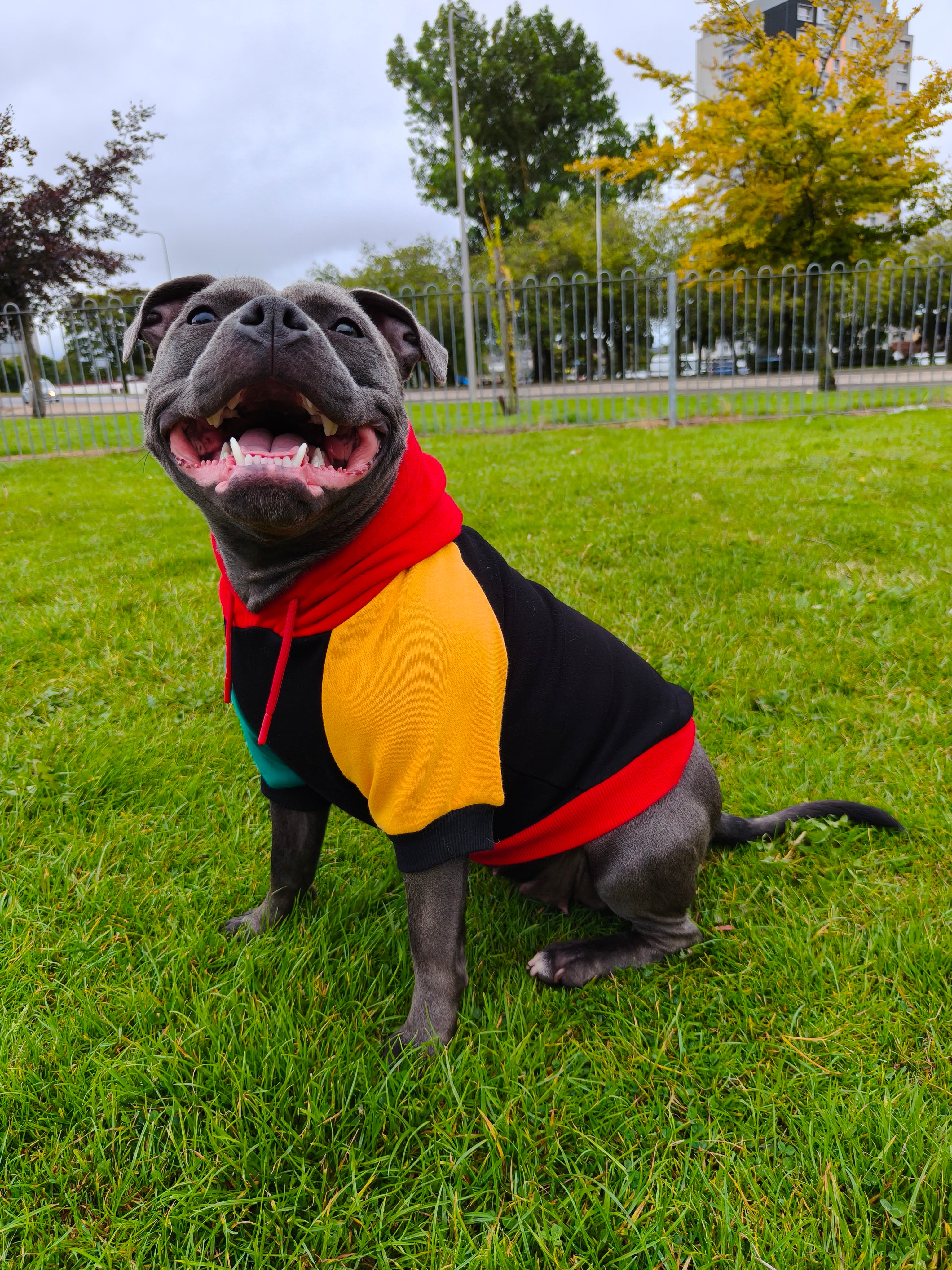 Dog Hoodies & Fleece Clothing UK | MODAPAWS