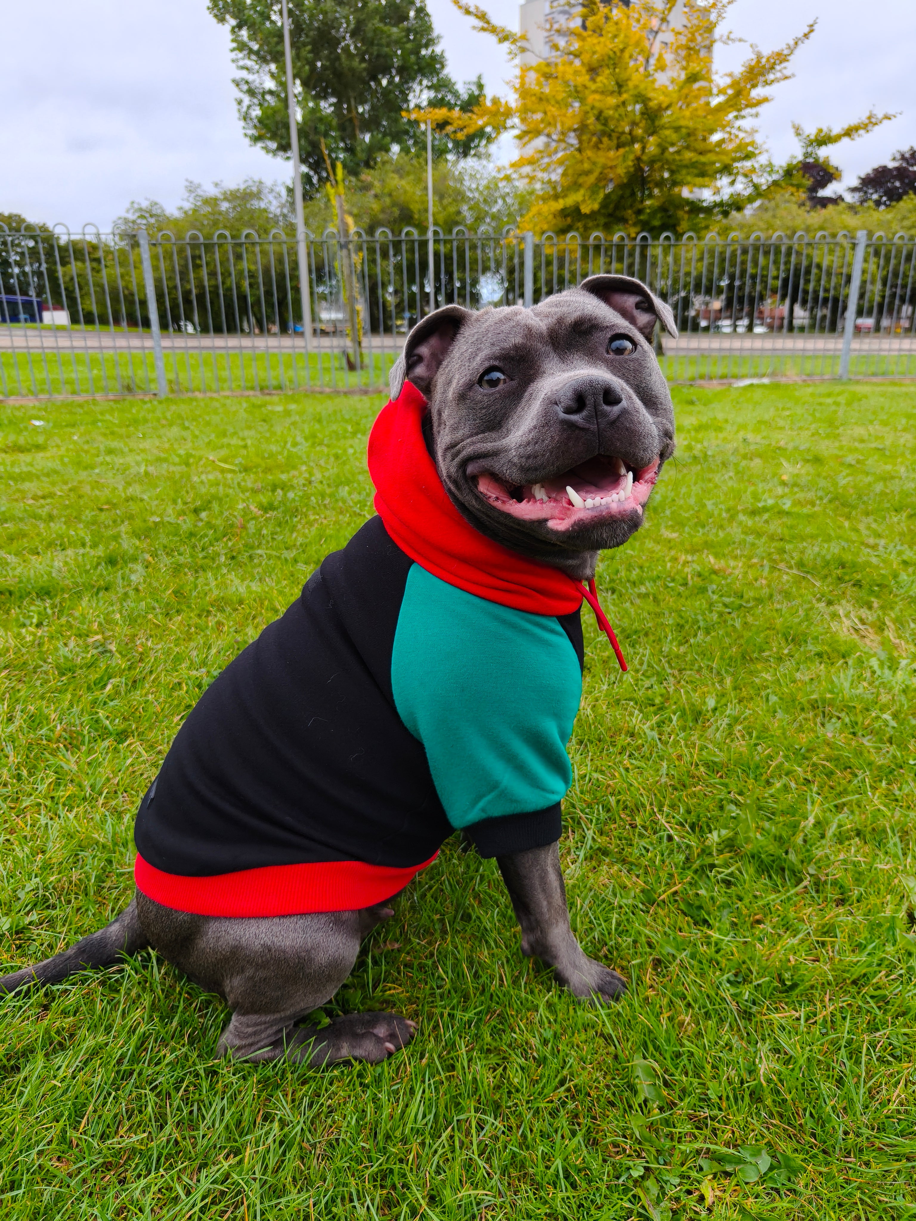 Dog Hoodies & Fleece Clothing UK | MODAPAWS