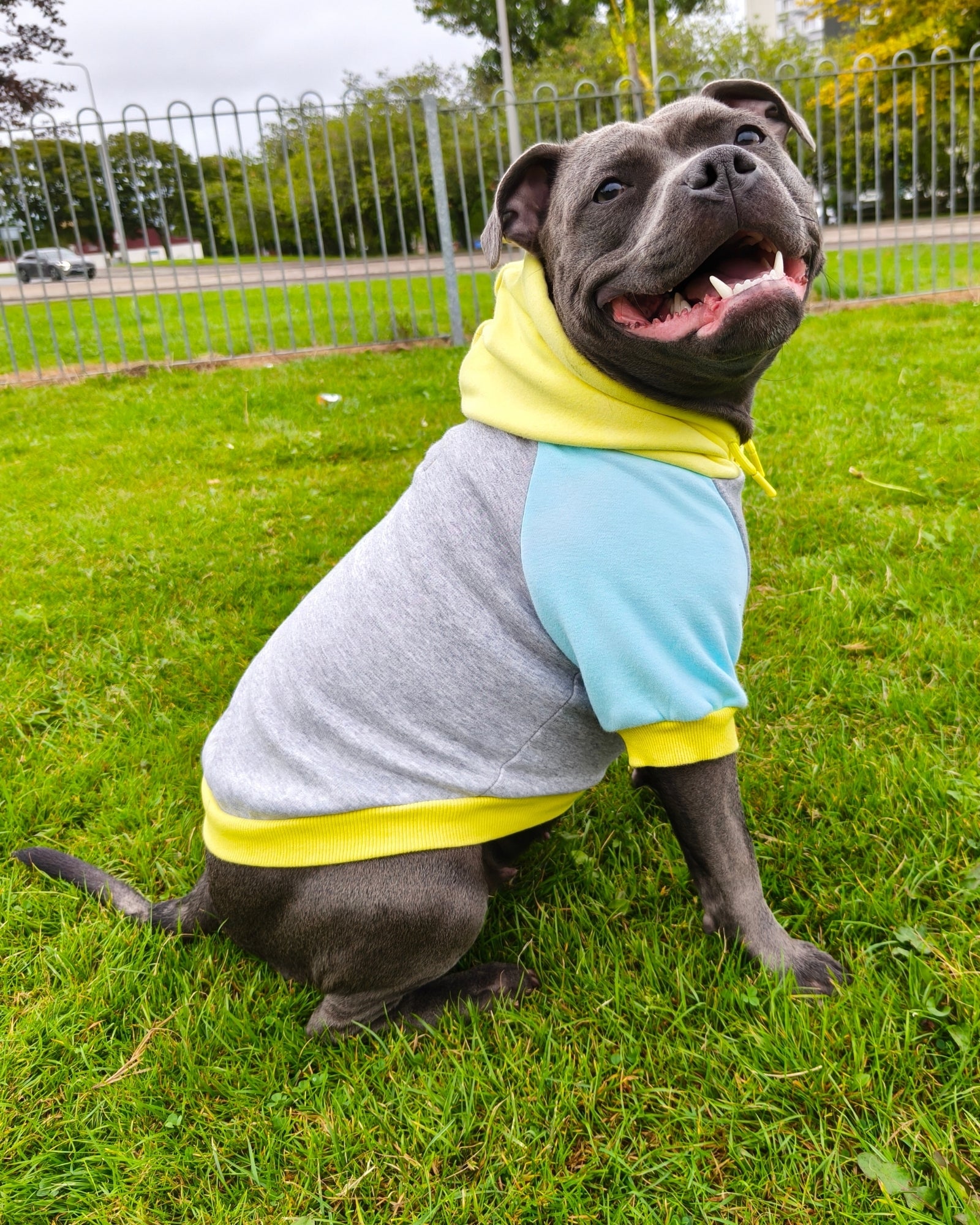 Dog Hoodies & Fleece Clothing UK | MODAPAWS