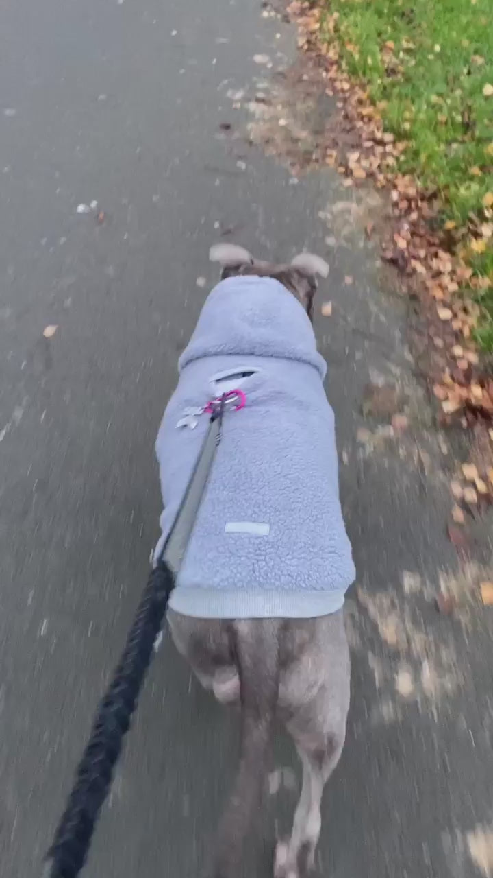Teddy Fleece Zipper Dog Hoodie | MODAPAWS